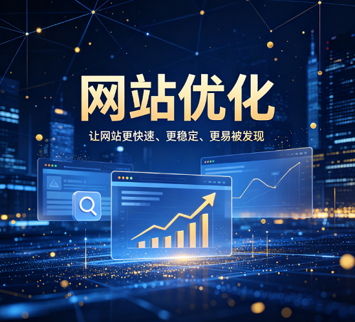 网站优化成功案例